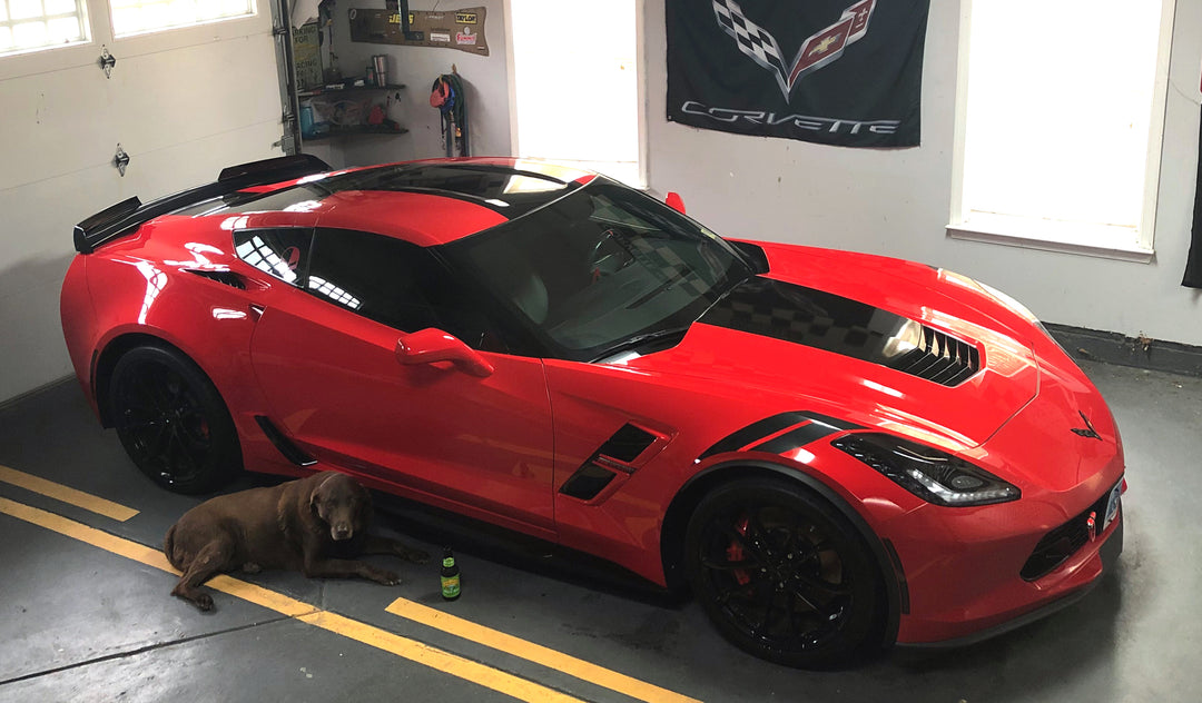 Corvettes and dogs