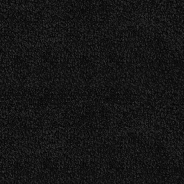 C8 Corvette Black  ebony carpet