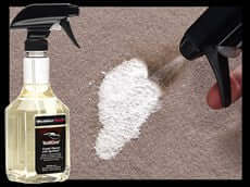 carpet cleaner corvette